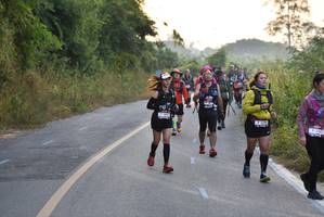 BIB: 
                            <button type="button" onclick="openModal(6965392)" class="btn btn-primary btn-sm float-right btn-popup" data-toggle="modal" data-target=".modal-high-quality">
                        <i class="fas fa-shopping-cart"></i> Add to Cart
                    </button>
                                            <button type="button" onclick="isThisMe(6965392, true)" class="btn btn-success btn-sm float-right btn-popup btn-isme hidden" data-toggle="tooltip" data-placement="bottom" title="นี่คือรูปของคุณใช่ไหม คลิกที่นี่เพื่อเอาเข้าอัลบั้ม">
                        <i class="fas fa-plus"></i> Add to album
                    </button>
                    <button type="button" onclick="isThisMe(6965392, false)" class="btn btn-warning btn-sm float-right btn-popup btn-isnotme hidden">
                        <i class="fas fa-ban"></i> Remove from album
                    </button>